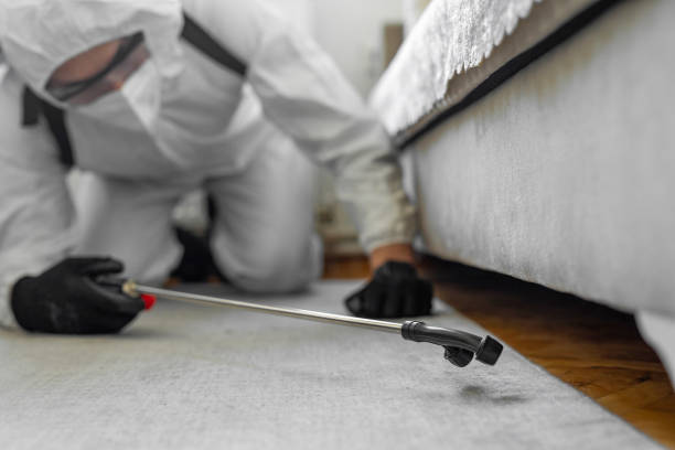 Professional Bed Bug Control technician working in Washington County County, IA
